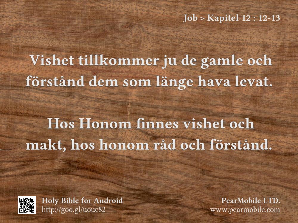 Job, Kapitel 12:12-13